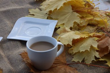 Beyaz bir çay tabağının yanında, kahverengi bir yaprağın üzerinde beyaz bir kahve fincanı. Sarı, mavi ve kahverengi akçaağaç yaprakları kumaşın dokusuna dağılır ve samimi bir sonbahar havası yaratır..