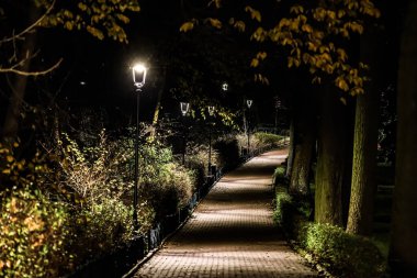 Aşıklar Parkı 'ndaki kaldırım taşı yolu, Chelmno geceleri sokak lambalarıyla aydınlatılıyor ve sonbahar ağaçlarıyla çevrili sarı yapraklarla..