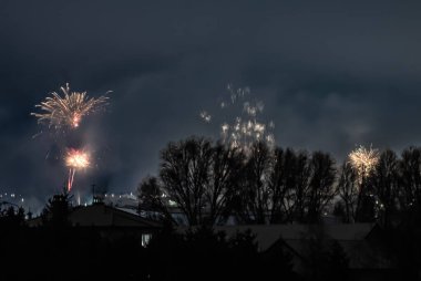 Görkemli havai fişek gösterisi karanlık akşam gökyüzünü aydınlatır. Sessiz sakin bir yerleşim alanının üzerinde çıplak ağaçlarla canlı desenler oluşturur.