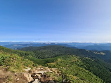 Dağlardaki güzel yaz manzarası 