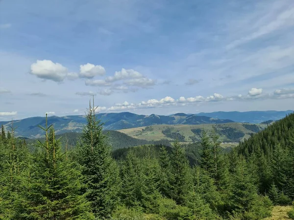 Dağlardaki güzel yaz manzarası 