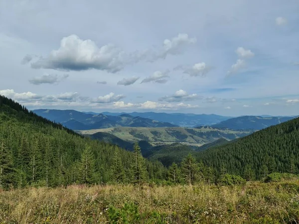 Dağlardaki güzel yaz manzarası 
