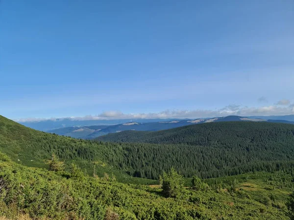 Dağlardaki güzel yaz manzarası 