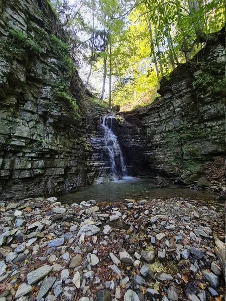 Ormanda dağ şelalesi