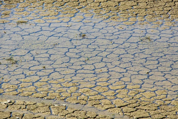Global Warming Drought Nature — Stock Photo, Image