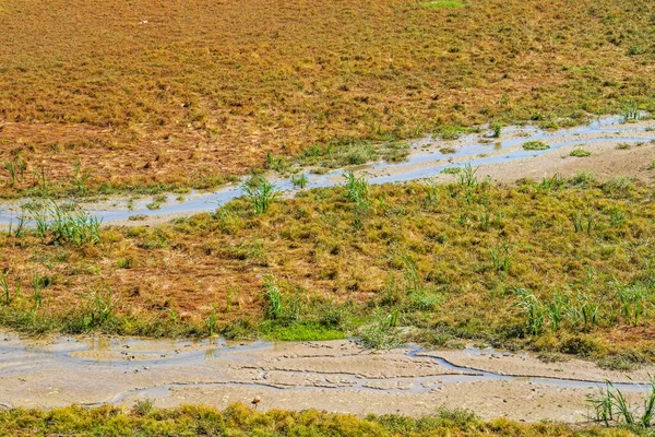 Doğada küresel ısınma ve kuraklık