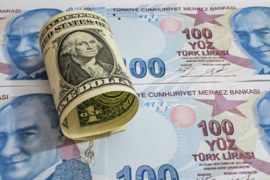 ABD doları ve Türk Lirası banknotları 