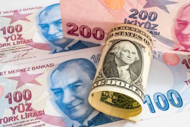 ABD doları ve Türk Lirası banknotları 