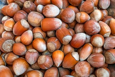 Kabuklu fındıkları metal kaseye koy.