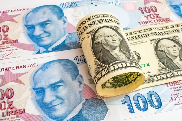 ABD doları ve Türk Lirası banknotları 
