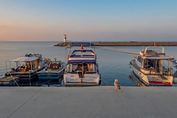 Kumkapi Istanbul Kalkon Augusti 2020 Landskap Och Kustlandskap Från Kumkapi — Stockfoto