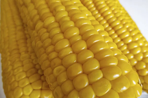 Ready Eat Boiled Corn Cobs — Stock Photo, Image