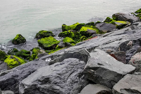 Deniz Manzarası Kışın Deniz Manzarası — Stok fotoğraf