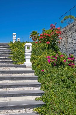 Alacati, İzmir, 15 Ağustos 20.Resort Zigana Alacati, Ege Denizi 'nin büyüleyici dokusu ve maviliğin eşsiz güzelliği ile çevrili bir körfezde yer almaktadır. Tesisin genel görünümü .