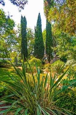 Bahçede ağaçlar ve çiçeklerle