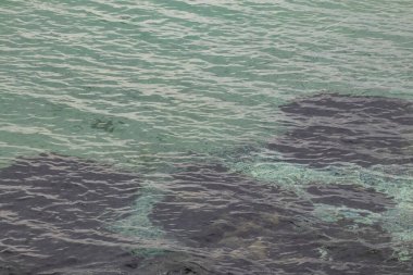 Deniz manzarası ve dalgalar kıyıda