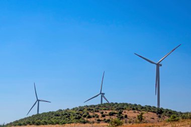 Tarlada rüzgar türbini ve mavi gökyüzü