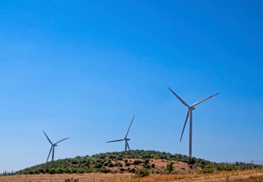 Tarlada rüzgar türbini ve mavi gökyüzü