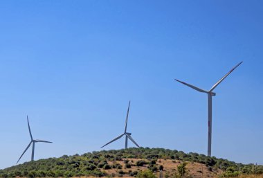 Tarlada rüzgar türbini ve mavi gökyüzü