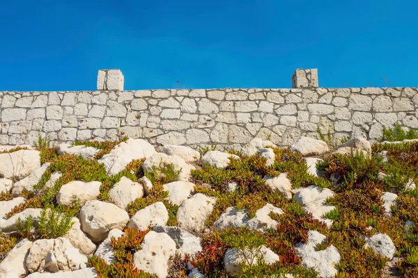 Gartenmauer Und Natürliche Felsen Der Natur — Stockfoto