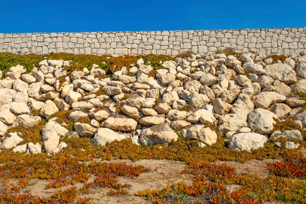 Trädgård Vägg Och Naturliga Stenar Naturen — Stockfoto