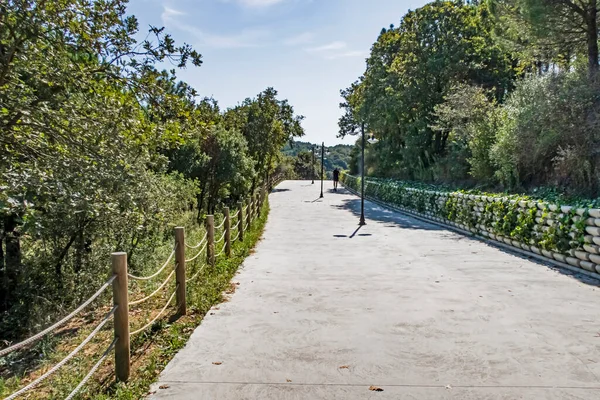 Stig Parken Och Grön Natur — Stockfoto