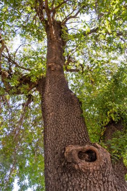 Kadıköy, İstanbul, Türkiye-Ağustos 30,2020. İstanbul 'un Kadıköy ilçesinden yaz mevsiminde kent manzarası