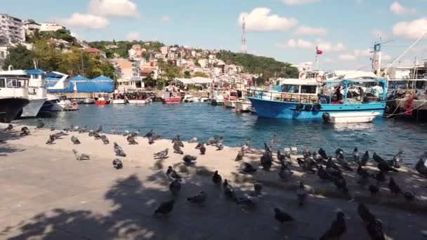 Istanbul Türkei August 2020 Istanbul Die Traumstadt Zwischen Europäischen Und — Stockvideo