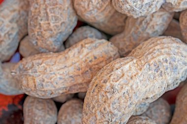 Tabaktaki kabuklu fıstıkları kapat.