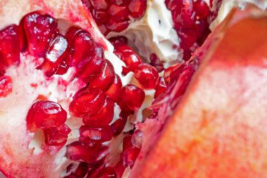 Antioksidan kaynaklı nar, meyve ve tohumlar.