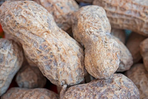 Close Shelled Peanuts Plate — Stock Photo, Image