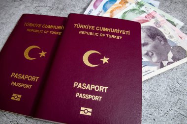 İstanbul, 31 Aralık 2020. Türkiye Cumhuriyeti pasaportu ve gri arka planda seyahat için para notları.