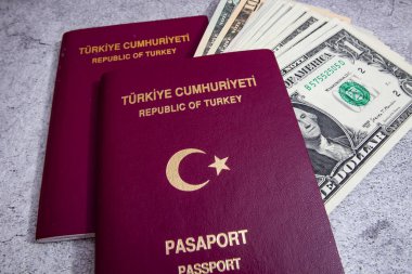 İstanbul, 31 Aralık 2020. Türkiye Cumhuriyeti pasaportu ve gri arka planda seyahat için para notları.
