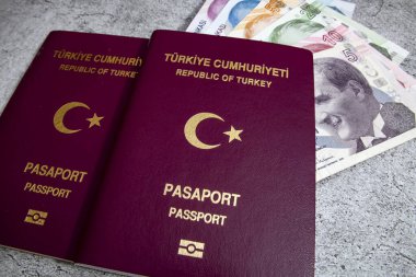 İstanbul, 31 Aralık 2020. Türkiye Cumhuriyeti pasaportu ve gri arka planda seyahat için para notları.