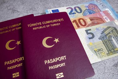 İstanbul, 31 Aralık 2020. Türkiye Cumhuriyeti pasaportu ve gri arka planda seyahat için para notları.