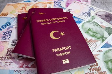 İstanbul, 31 Aralık 2020. Türkiye Cumhuriyeti pasaportu ve gri arka planda seyahat için para notları.