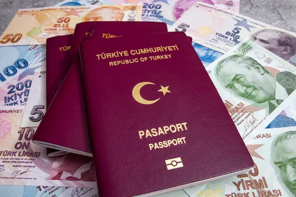 Istanbul Pavo Diciembre 2020 Pasaporte República Turquía Billetes Para Viajar — Foto de Stock