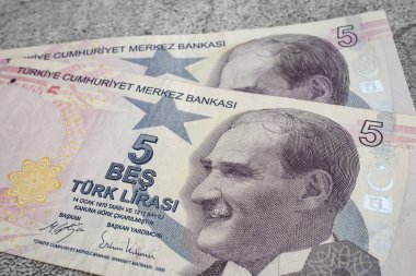 Arka planda Türk lira banknotlarını kapat