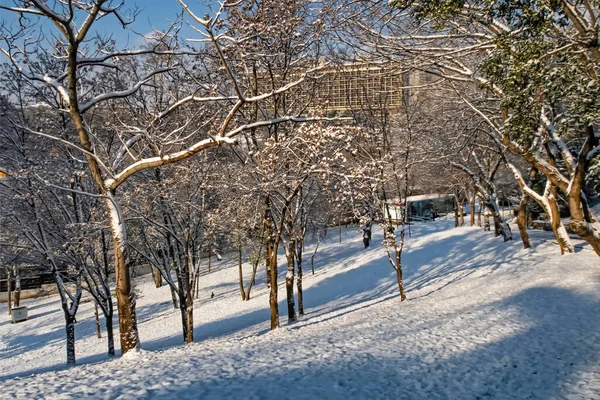 Macka Istanbul Turkei Januar 2020 Schnee Istanbul Winterlandschaft Aus Makrelendemokratie — Stockfoto