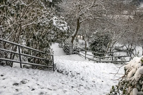 Macka Istanbul Turkey January 2020 Snow Istanbul Winter Landscape Macka — Stock Photo, Image