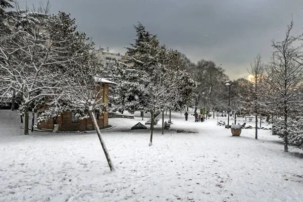 Macka Istanbul Peru Janeiro 2020 Neve Istanbul Paisagem Inverno Democracia — Fotografia de Stock