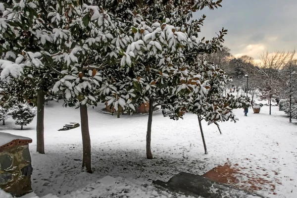 Macka Istanbul Peru Janeiro 2020 Neve Istanbul Paisagem Inverno Democracia — Fotografia de Stock