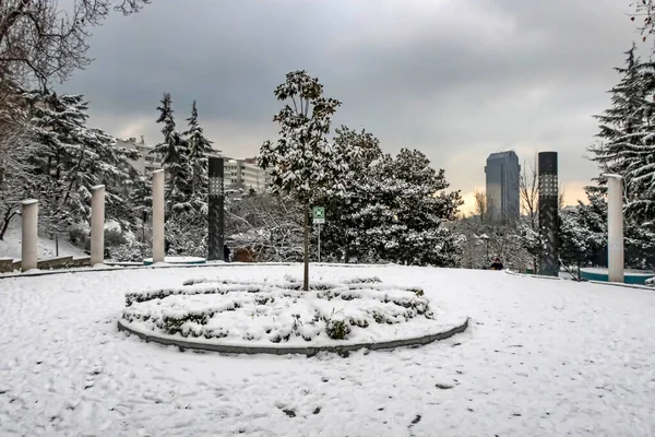 Macka Istanbul Peru Janeiro 2020 Neve Istanbul Paisagem Inverno Democracia — Fotografia de Stock