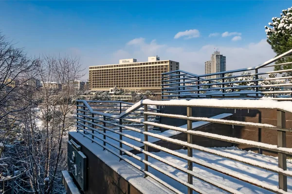 Macka Istanbul Turkey January 2020 Snow Istanbul Winter Landscape Macka — Stock Photo, Image