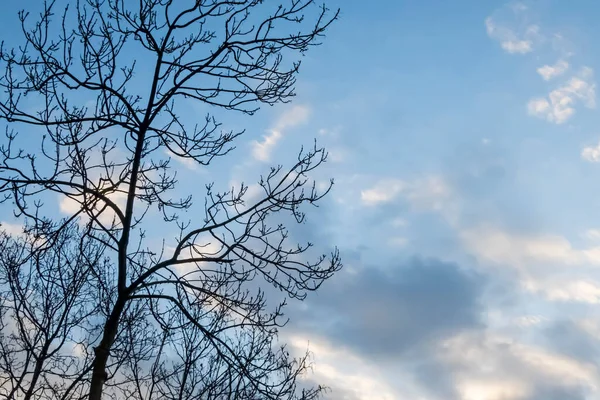 Blauwe Lucht Wolken Het Winterseizoen — Stockfoto