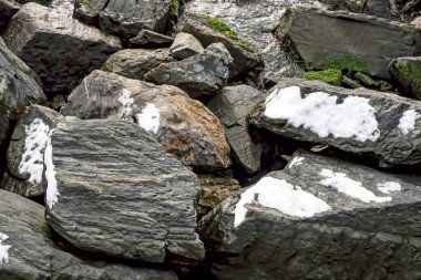 Kışın kar, doğada kar.