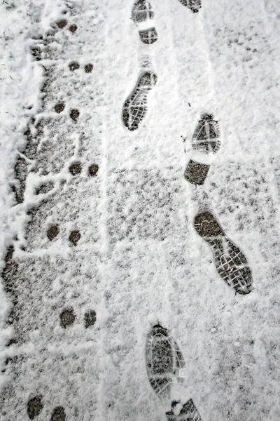 冬の雪道と足跡 — ストック写真