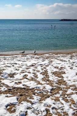 Kış mevsiminde deniz kıyısı ve kar manzarası.