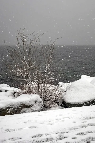 Scena Della Neve Nella Stagione Invernale Nella Natura — Foto Stock