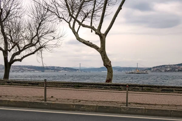 Istanbul Krůtí Pochod12021 Bosphorus Marmara Výhled Moře Zimě Zataženo Počasí — Stock fotografie